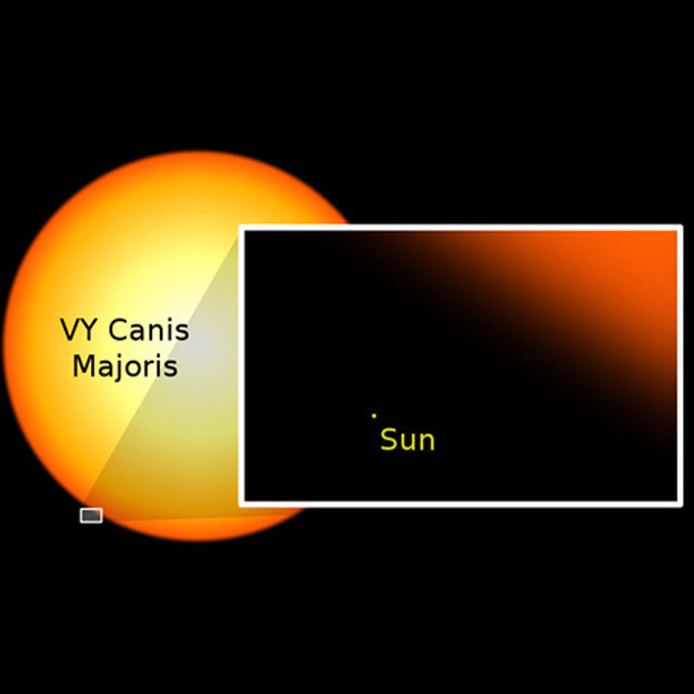 Which means that there are ones much, much bigger than little wimpy sun. Just look at how tiny and insignificant our sun is: