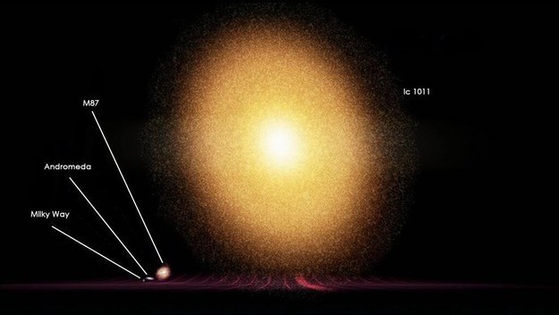 But even our galaxy is a little runt compared with some others. Here's the Milky Way compared to IC 1011, 350 million light years away from Earth: