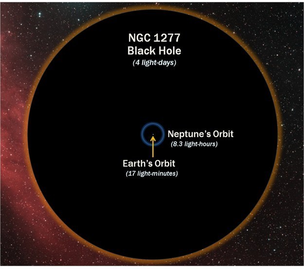 And, you know, it's pretty safe to assume that there are some black holes out there. Here's the size of a black hole compared with Earth's orbit, just to terrify you: